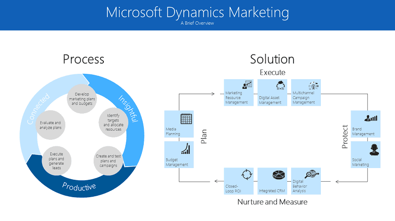 marketing dynamics