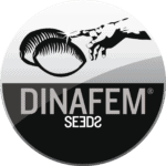 dinafem