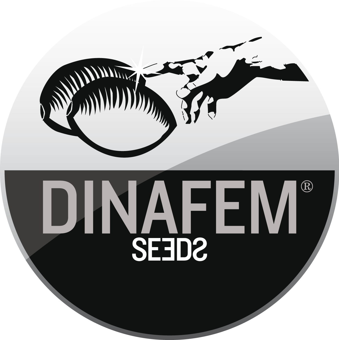 dinafem