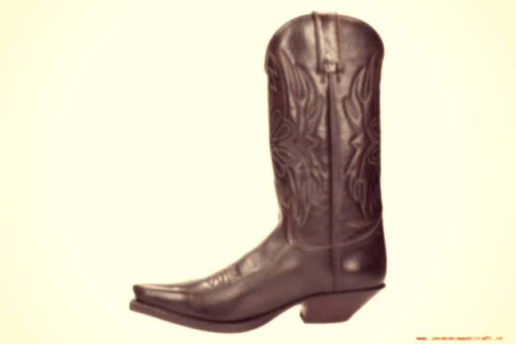 Sendra boots camperas divertidas